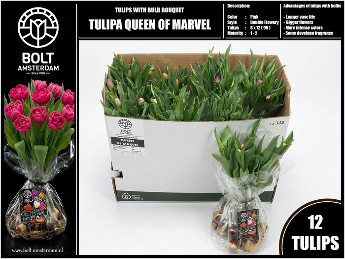 <h4>TU DU QUEEN OF MARVE</h4>