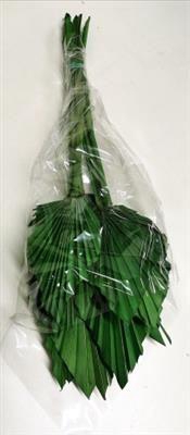 <h4>DROOG PALMSPEAR GREEN P.DS</h4>