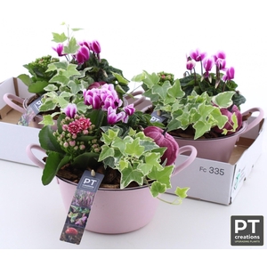 ARR TUINPLANTEN