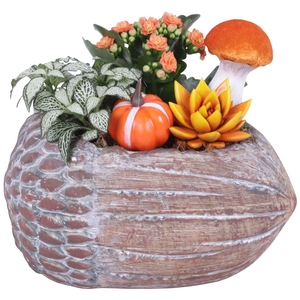 Arr.    Planten  H%