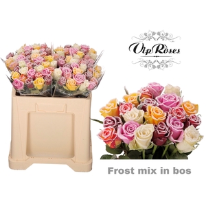R GR FROST MIX IN BOS