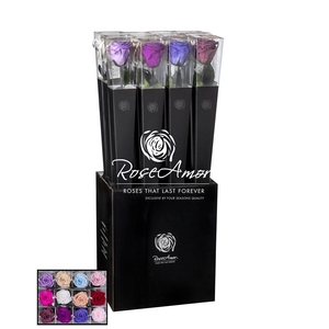 Lori 70cm Assorted Pastel