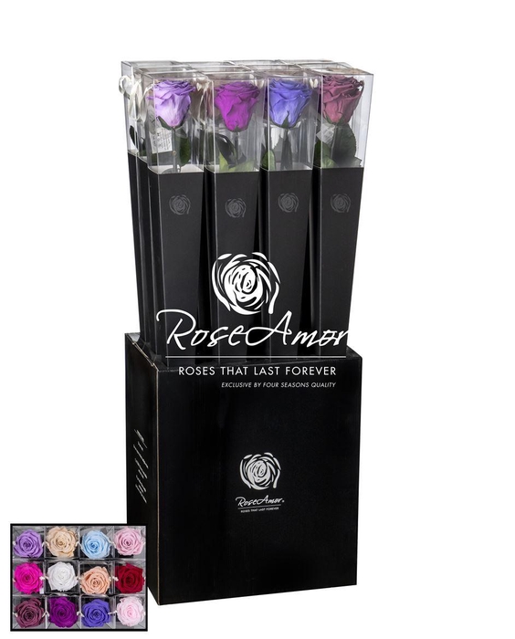 <h4>Lori 70cm Assorted Pastel</h4>