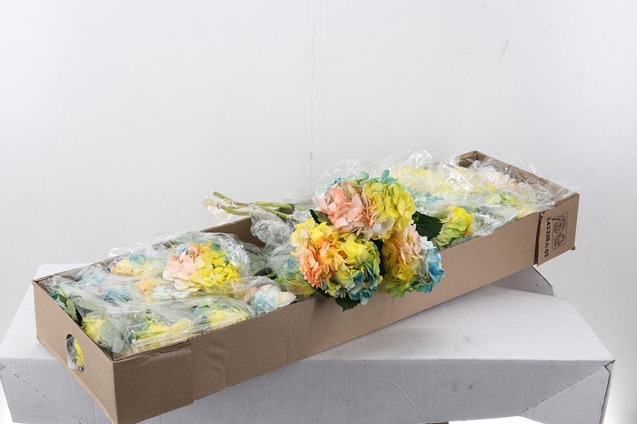 <h4>Hydr Prisma Bloom Sel Box</h4>