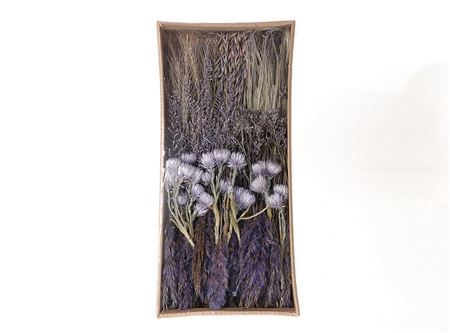 Dried Spring Ass L55 W25 H7.5 Lilac P Box