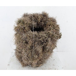 Wreath Iron Grass 30CM