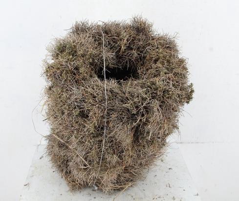 <h4>Wreath Iron Grass 30CM</h4>