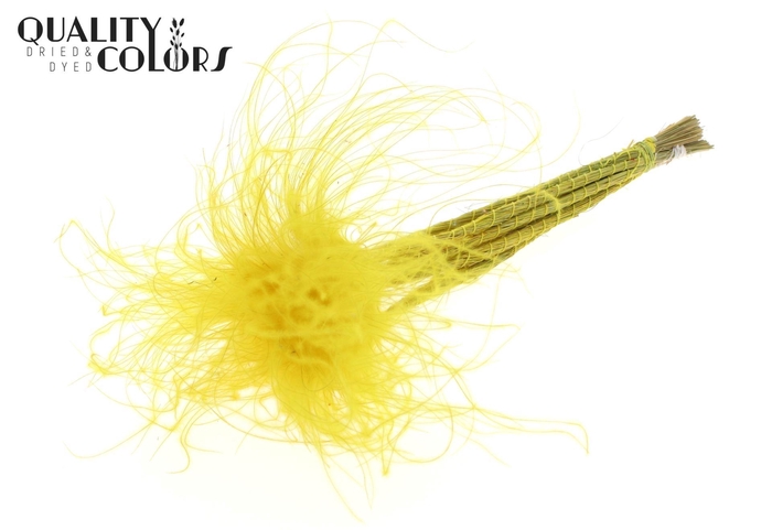 <h4>Droogbloemen   ...bewerkt H%</h4>