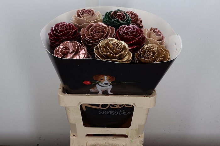 <h4>Brassica Wx (ex) Mix Copper</h4>