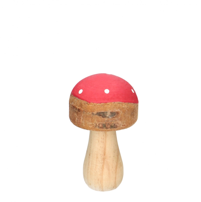 <h4>Autumn Mushrooms Pixie d08*12cm</h4>