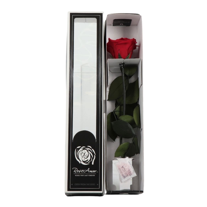 <h4>Rosa Preserved With Stem Red 02</h4>