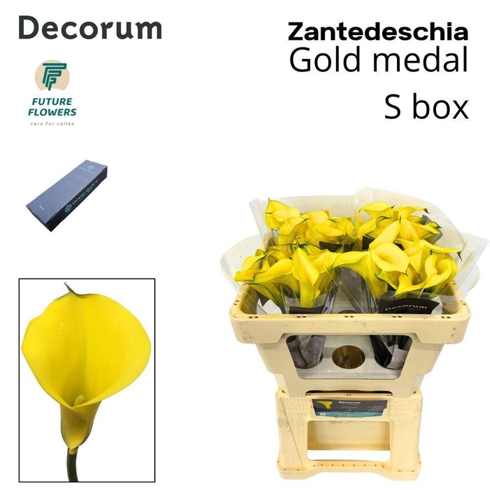 <h4>ZANT GOLD MEDAL SMALL BOX 50 CM 40 ST.</h4>