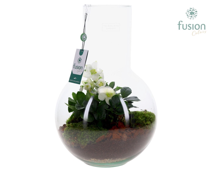 <h4>Green Bottle Suzanne Large met Helleborus</h4>