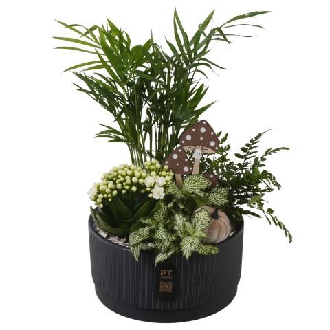 <h4>PTHI3225 Arrangement Autumn Indoor in keramiek schaal</h4>