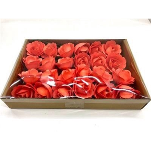 HOUTEN ROOS ORANJE X