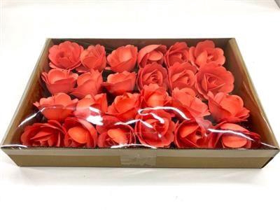 <h4>HOUTEN ROOS ORANJE X</h4>