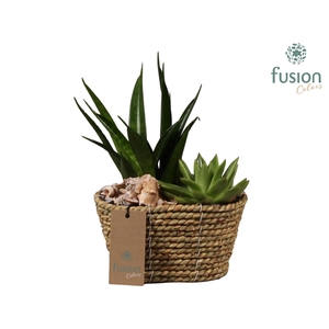 Mand zeegras ovaal Maritiem met Arrangement