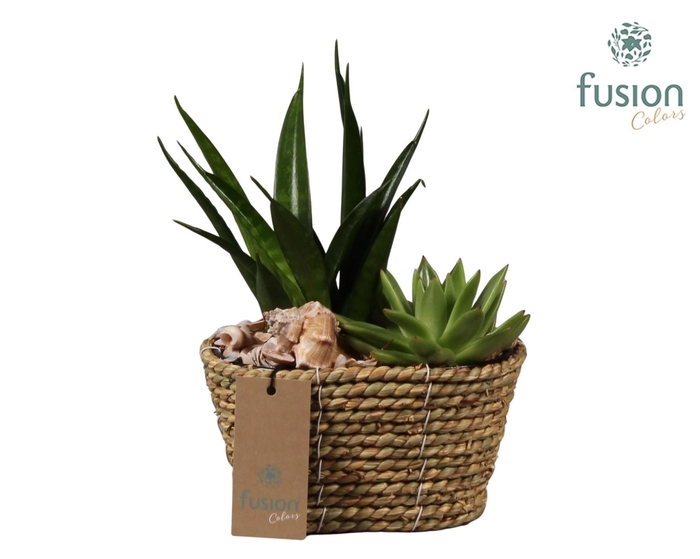 <h4>Mand zeegras ovaal Maritiem met Arrangement</h4>