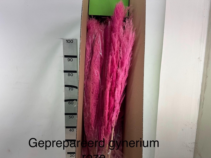 <h4>HUIS EN TUINDECO H%</h4>