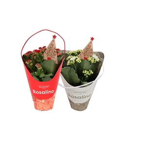 Kalan Gev Rood & Wit 2kl Giftkoker X-mas