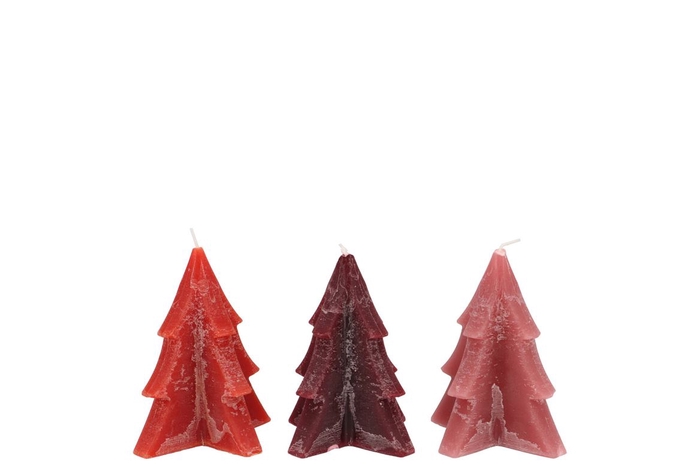 <h4>Frosty Red Mix Pine Tree Candle 6x8cm Ass</h4>