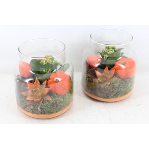 arr2 MB - Glas jayan 285/6 - oranje