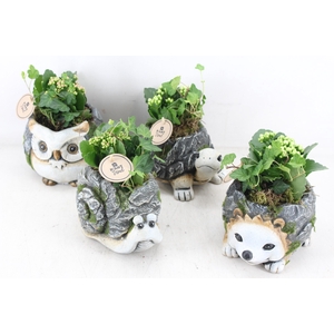 arr2 PL - Dierenmix indoor