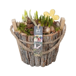 PTBM3163 Arrangement Bloembollenmix in hout pot