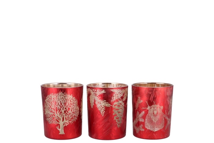 <h4>Ruby Red/gold T-light Forrest Ass 7x8cm</h4>