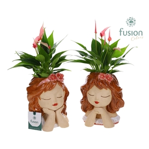 Keramiek meisjes pot met Anthurium