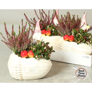 ARR TUINPLANTEN