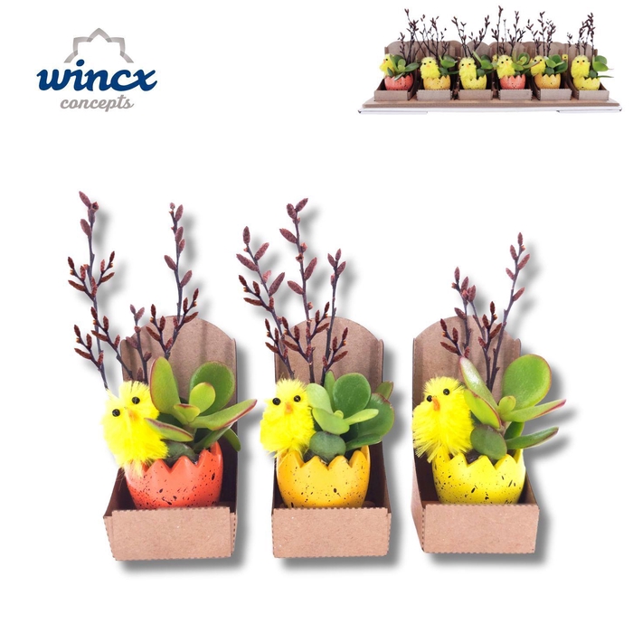 <h4>Concepts® - Easter Dobbel</h4>