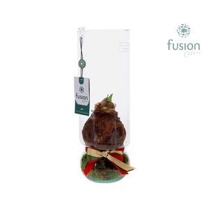 Green Bottle Angelica Large met Amaryllis