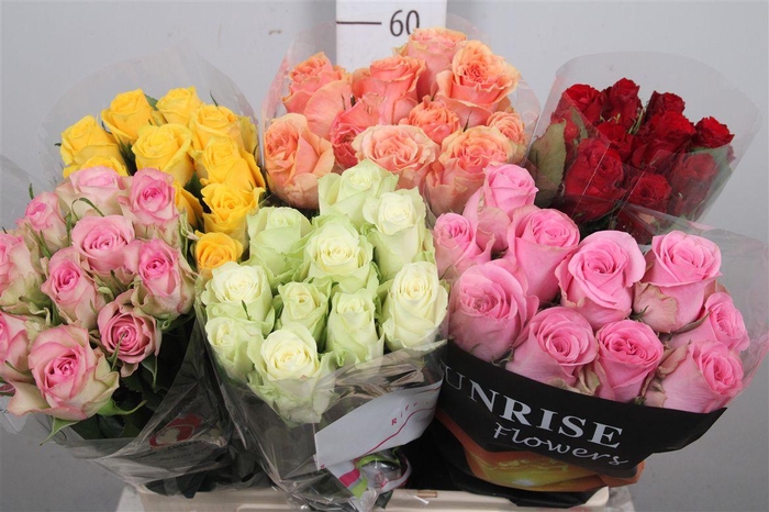 <h4>R Gr Gemengd In Fust</h4>