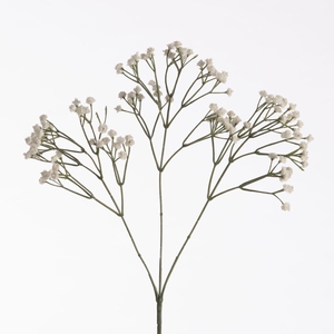 Af Gypsophila L69cm White