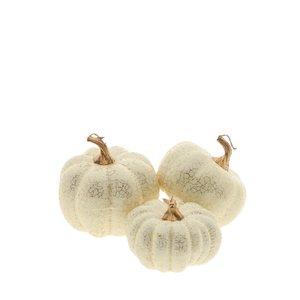 Herfst Deco pompoen S/3 d09*6/8/9.5cm