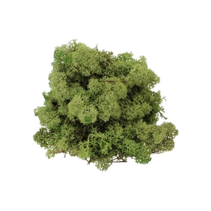 Mos Iceland Legergroen 500 Gram