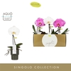 Singolo Mix in Roxanne Dark Green