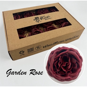 Zijde R Garden Wx Bordeaux
