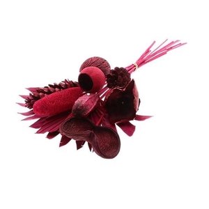 Droogbloem Boeket Exotic 55cm