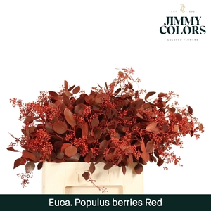 Pop Bes Per Bos 200g Rood