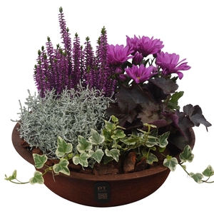Arr.   Tuinplanten L%