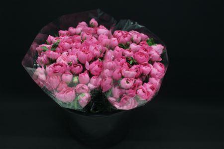 <h4>Ranonkel Extra Rose</h4>