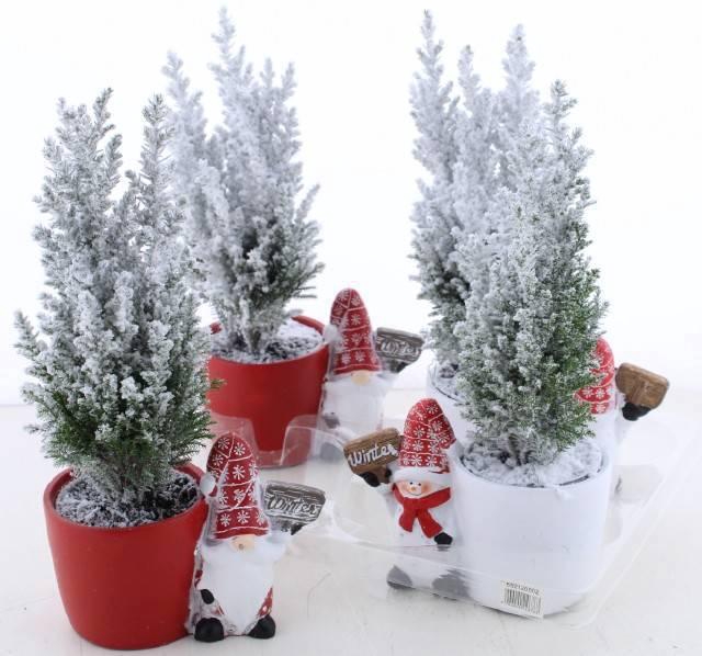 <h4>CHAM L ELLWOODII</h4>