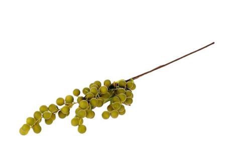 <h4>ARTIFICIAL STEM SUGAR BERRY L80 GREEN</h4>