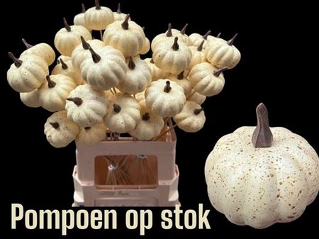 <h4>Pumpkin White On Stick</h4>