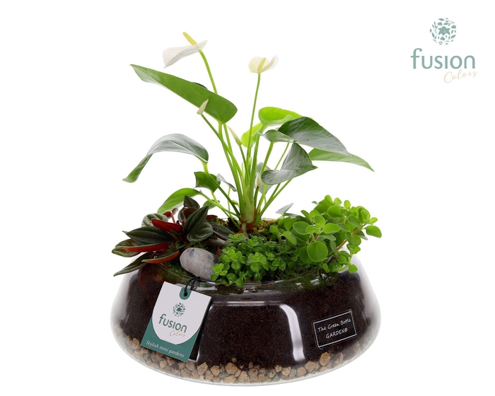 <h4>Green Bottle Christel Large met Anthurium Arrangement</h4>