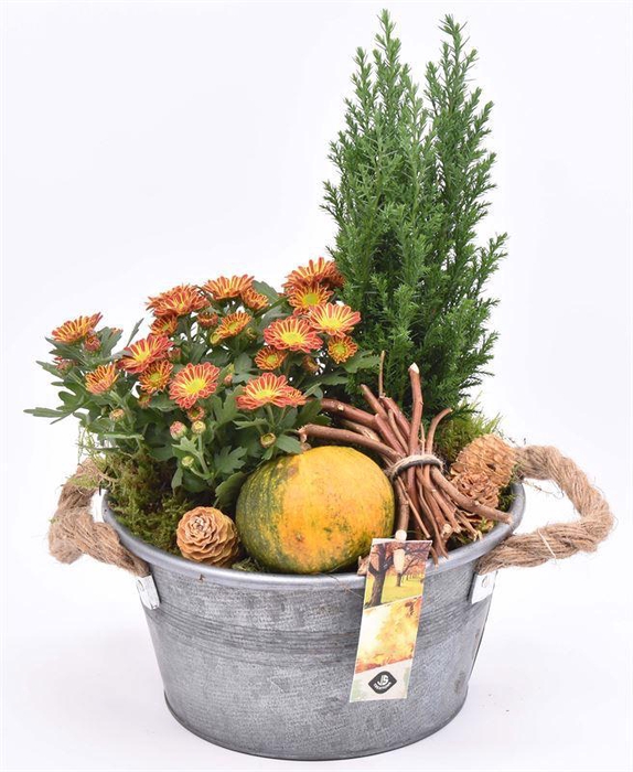 <h4>Zink teil gry met touw handv. 21cm</h4>