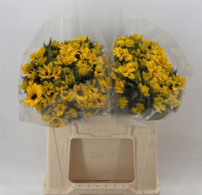 <h4>HELIAN MINI CM 40</h4>