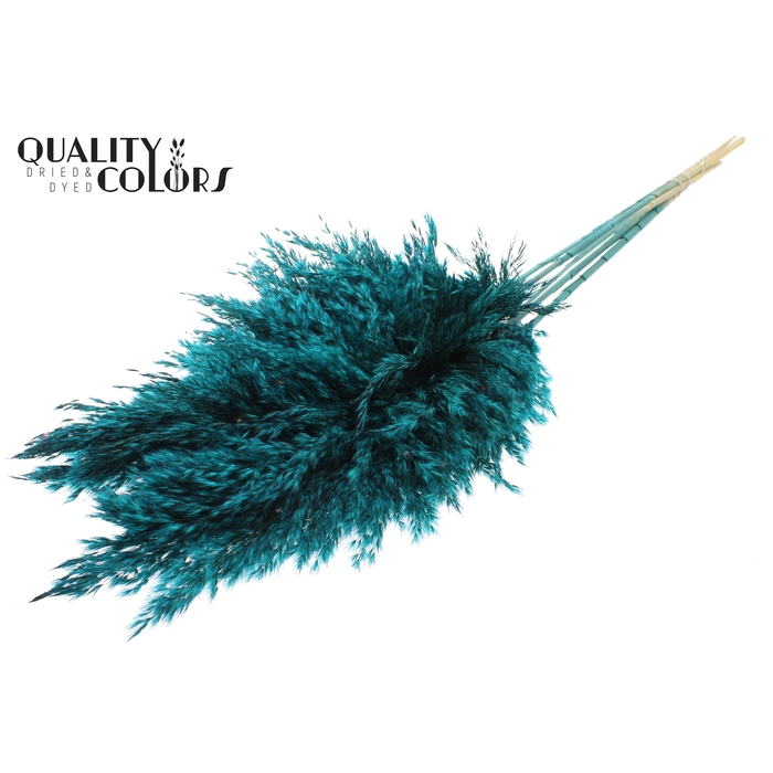 <h4>Pampas Grass 100cm 5st/bunch Turquoise</h4>